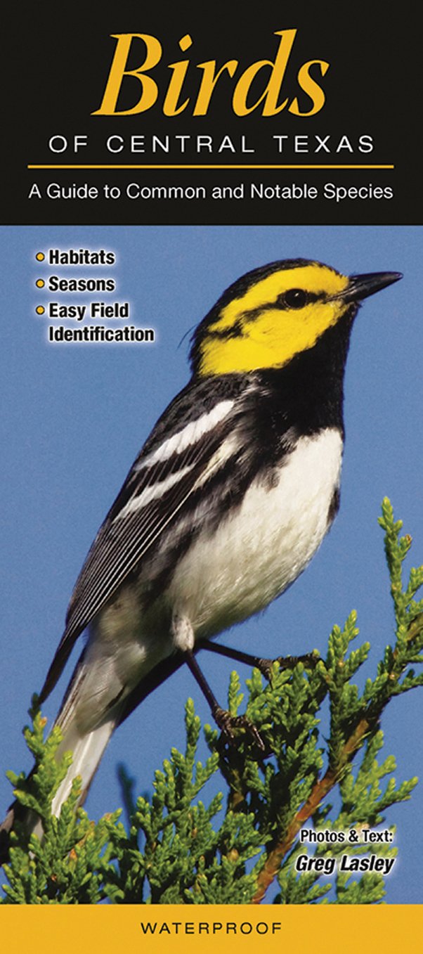 Birds of Central Texas: A Guide to Common & Notable Species (Quick Reference Guides)