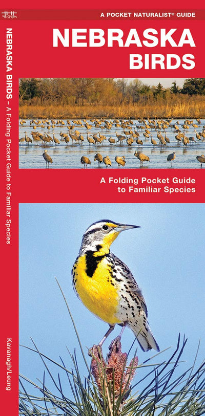 Nebraska Birds: A Folding Pocket Guide to Familiar Species (Wildlife and Nature Identification)