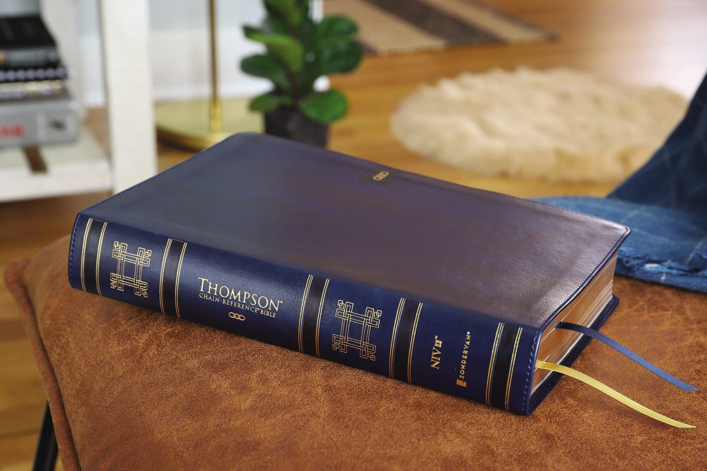 NIV, Thompson Chain-Reference Bible, Large Print, Leathersof