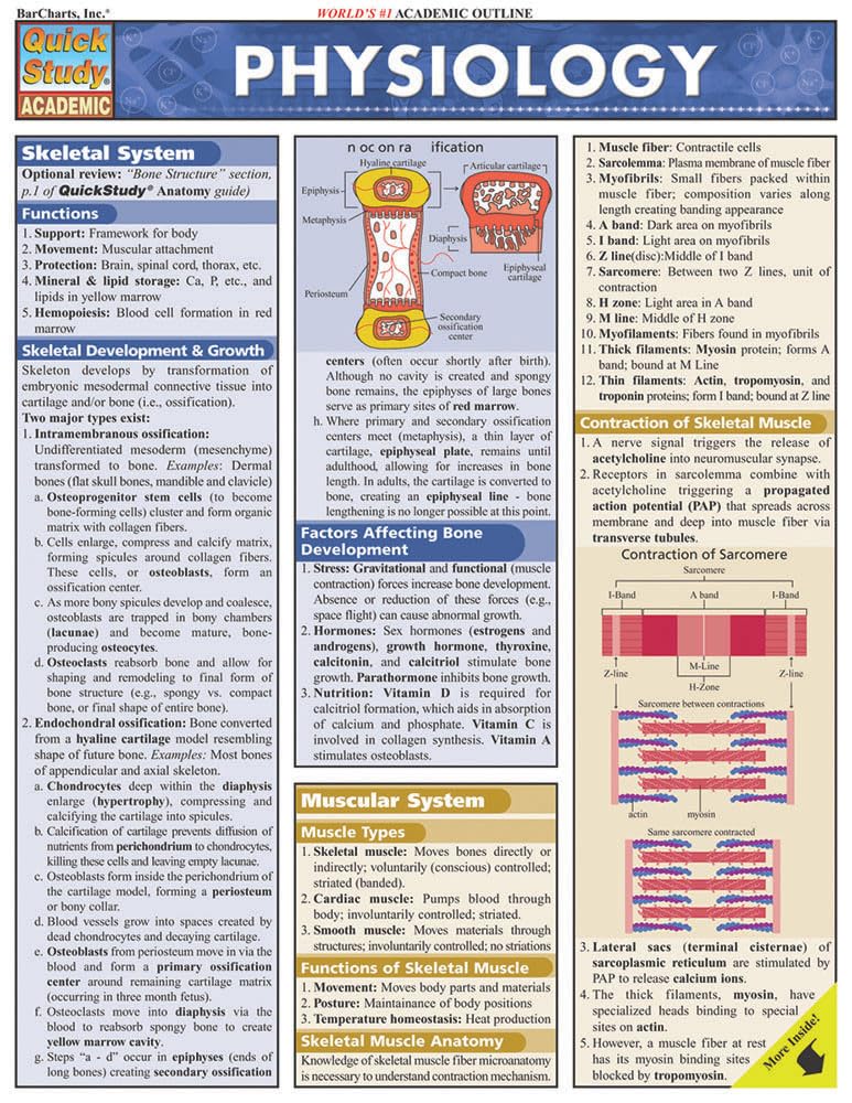 Physiology: QuickStudy Laminated Reference Guide (QuickStudy Academic)