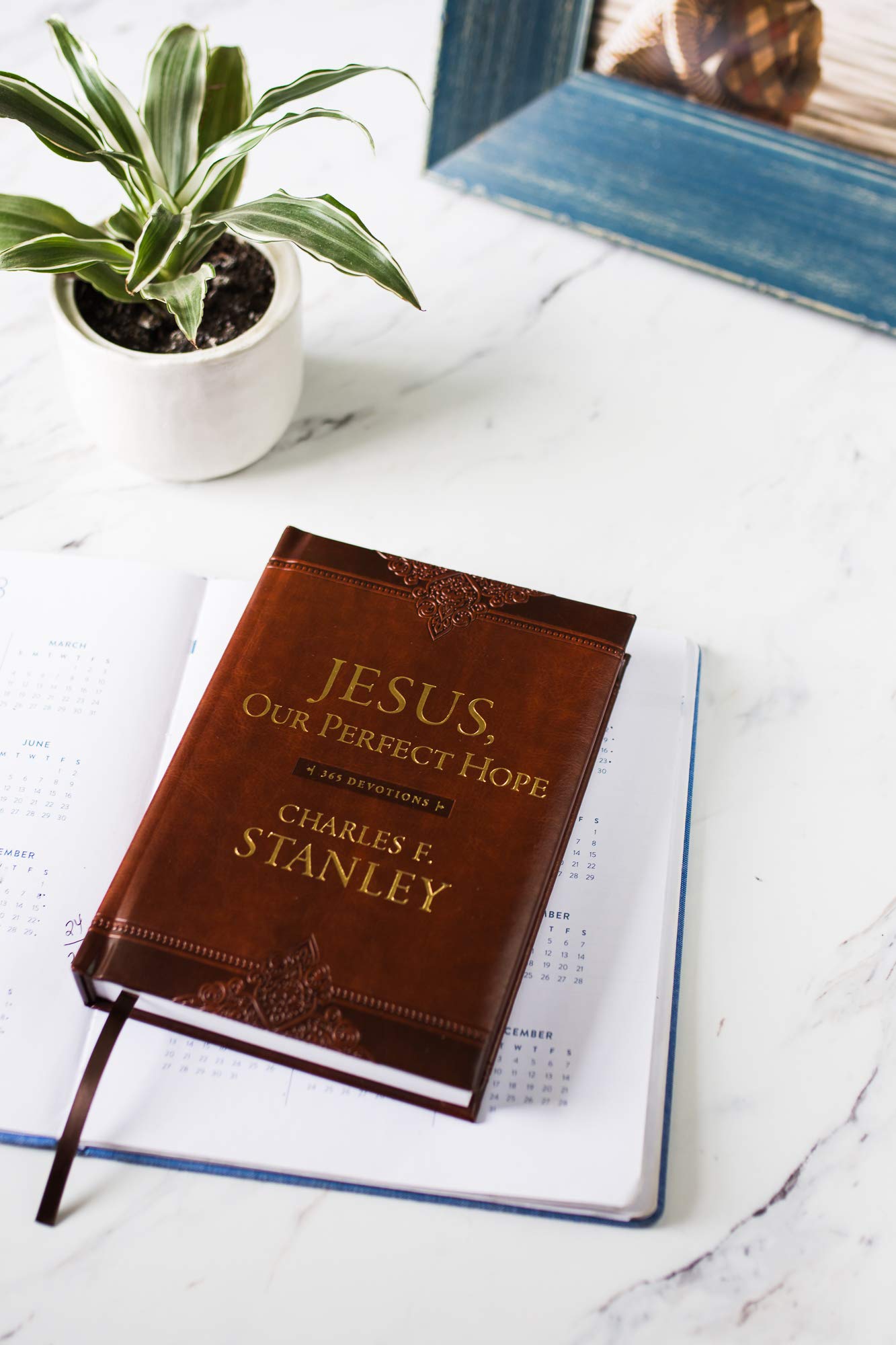 Jesus, Our Perfect Hope: 365 Devotions (Devotionals from Charles F. Stanley)