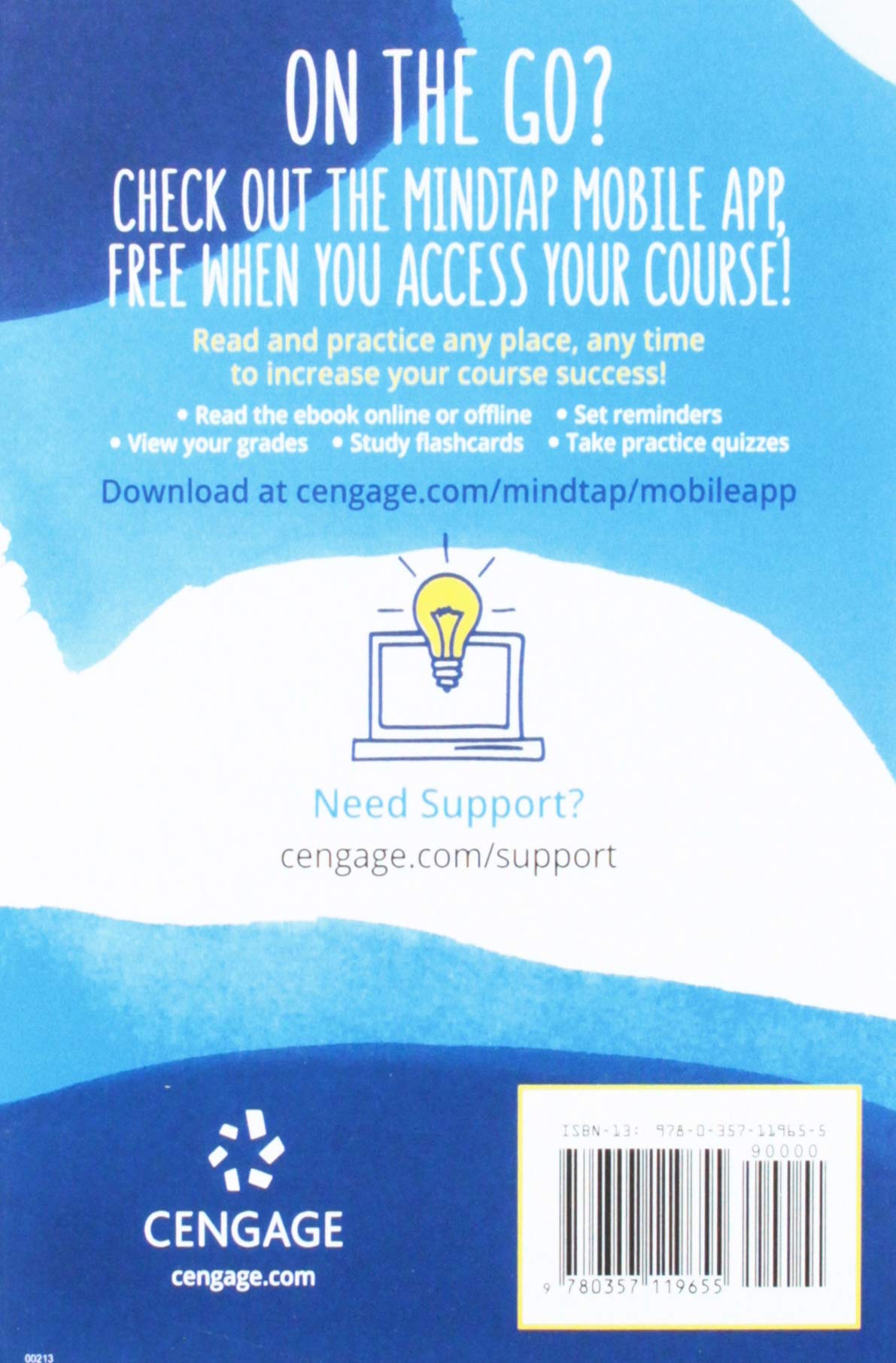 Illustrated MicrosoftOffice 365 & Office 2019 Introductory (MindTap Course List)