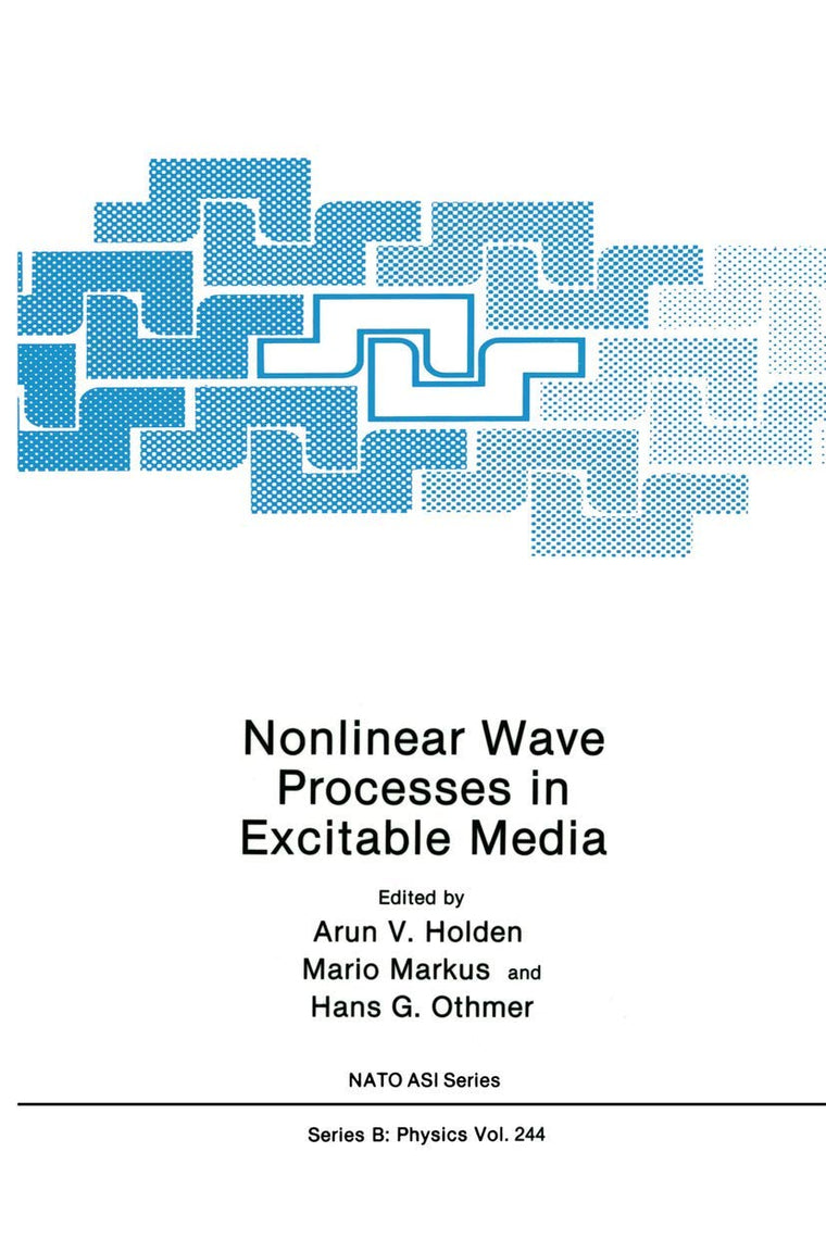 Nonlinear Wave Processes in Excitable Media (NATO Science Series B:, 244)