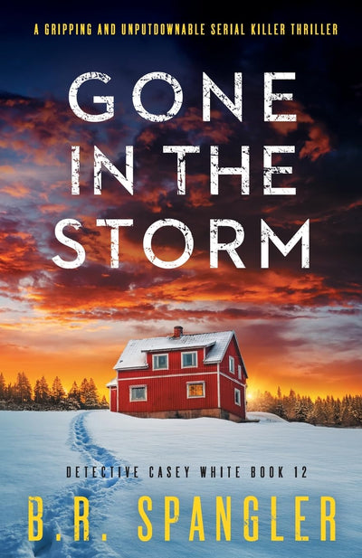 Gone in the Storm: A gripping and unputdownable serial killer thriller (Detective Casey White)