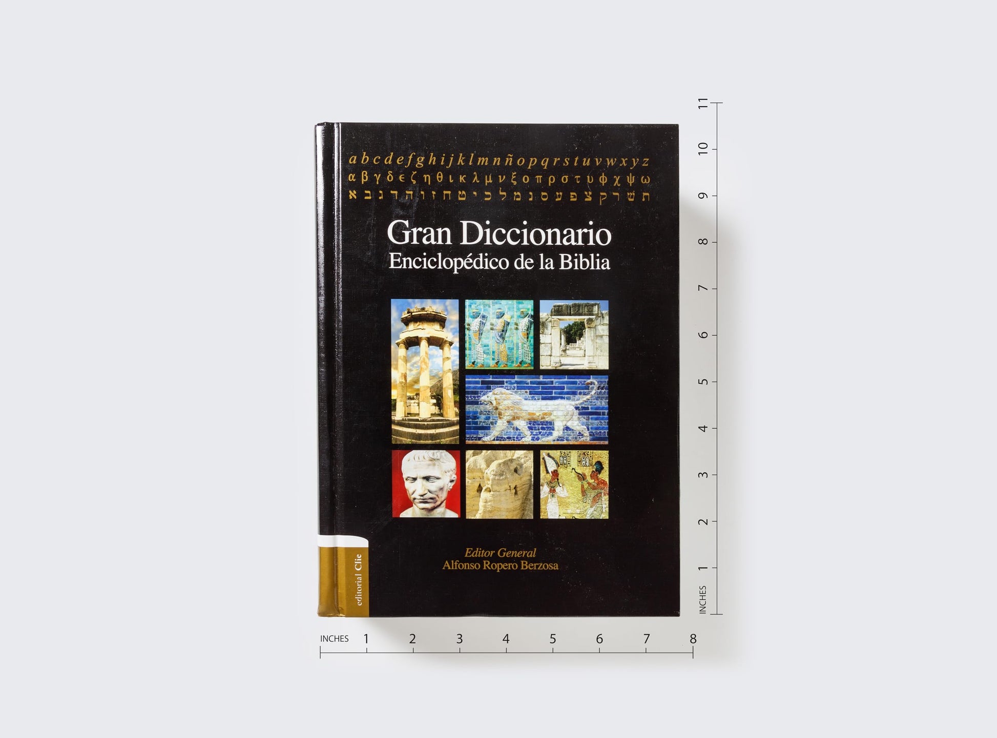 Gran diccionario enciclop?dico de la Biblia (Spanish Edition)