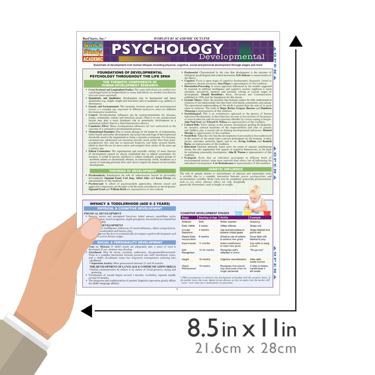 Psychology: Developmental (Life Span): QuickStudy Laminated Reference Guide (Quick Study Academic)