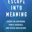 Escape into Meaning: Essays on Superman, Public Benches, and More