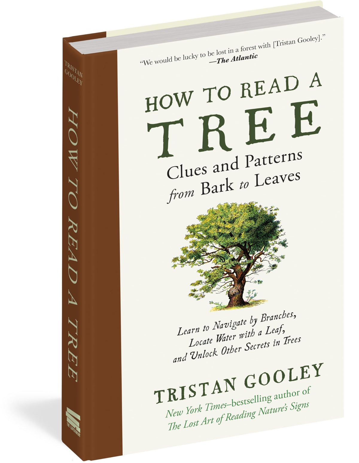 How to Read a Tree: Clues and Patterns from Bark to Leaves (Natural Navigation)