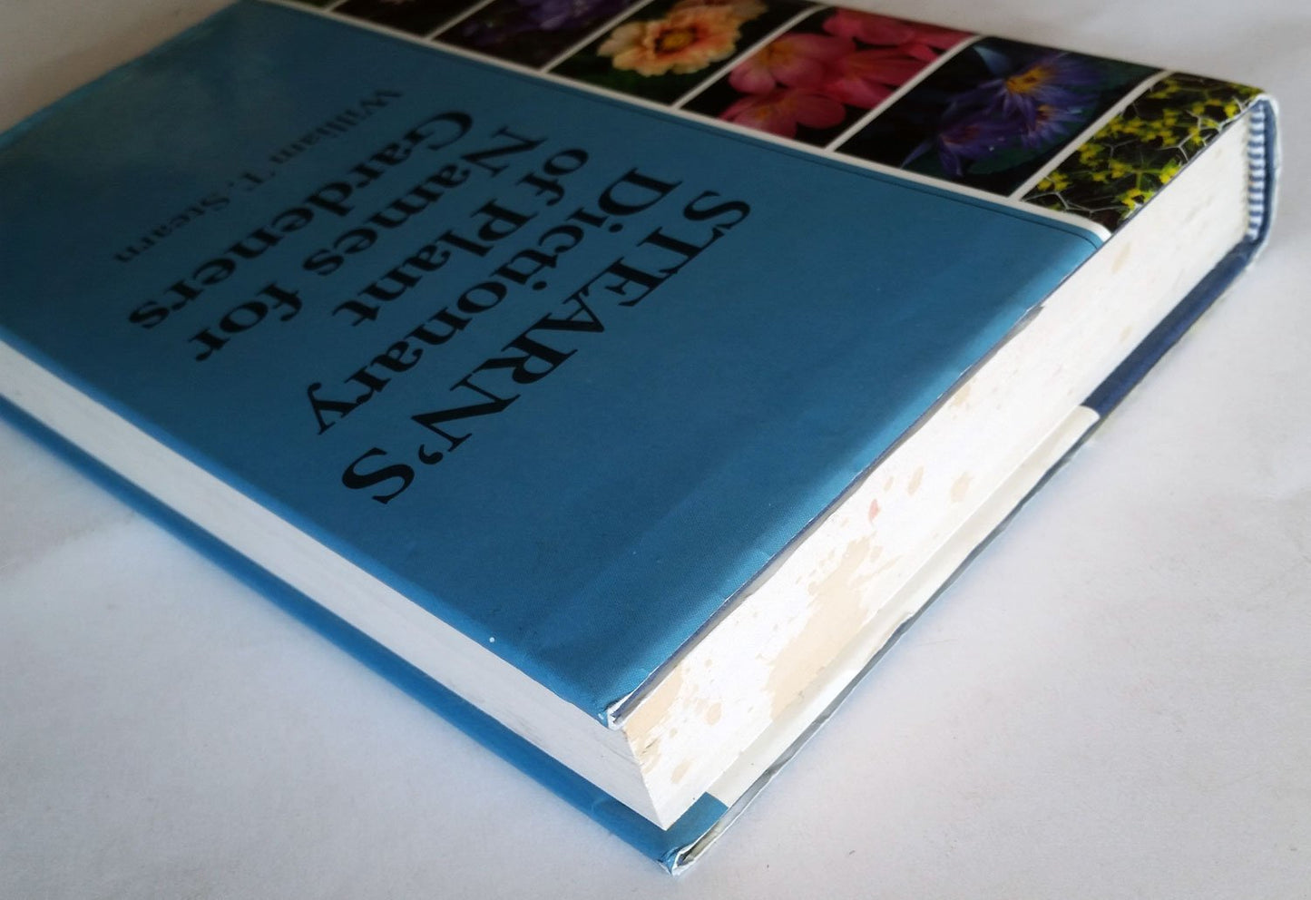 Stearn's Dictionary of Plant Names for Gardeners: A Handbook on the Origin and Meaning of the Botanical Names of Some Cultivated Plants