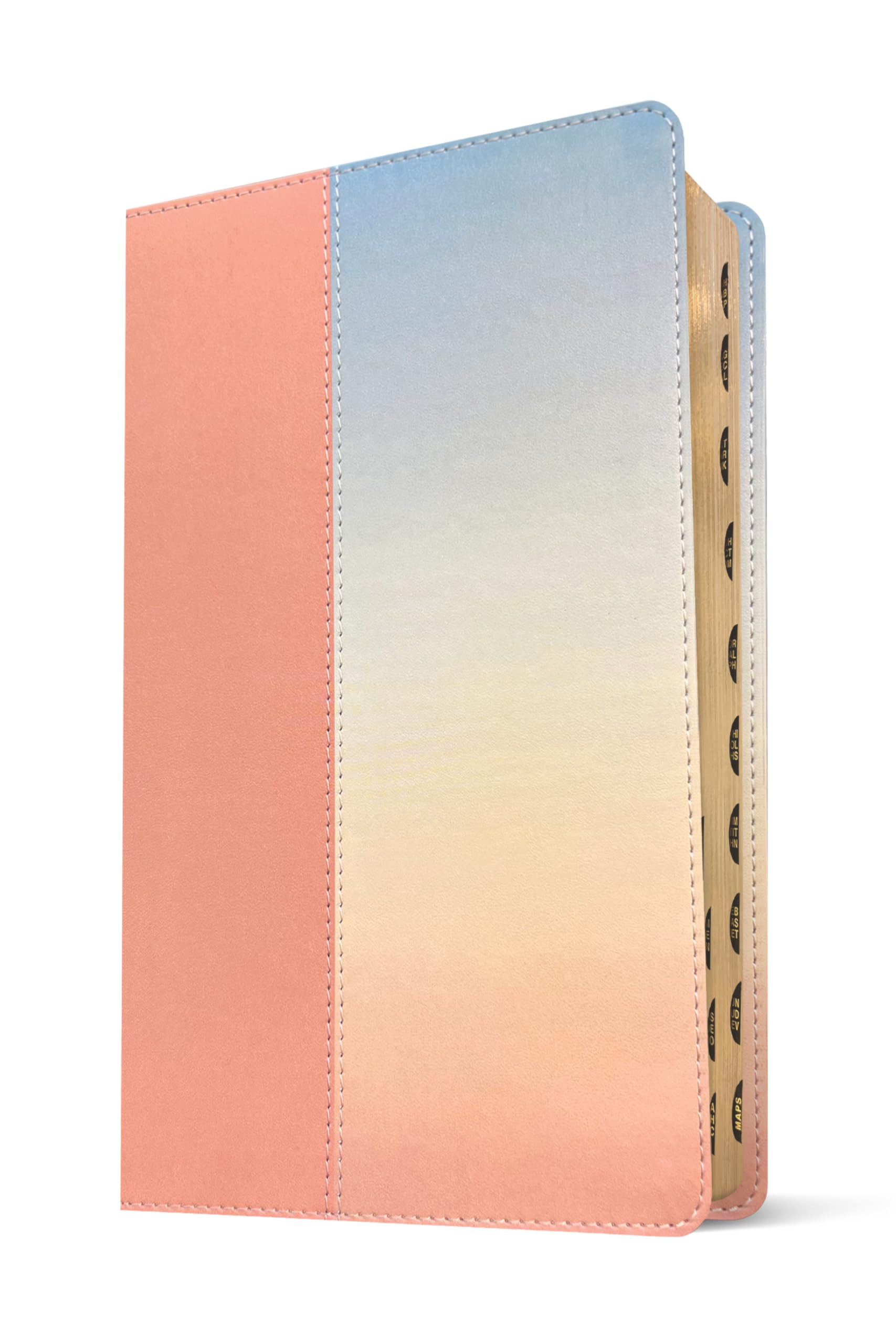 NLT Student Life Application Study Bible, Filament Enabled (LeatherLike, Ombre Pink, Indexed, Red Letter)