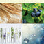 Functional and Preservative Properties of Phytochemicals