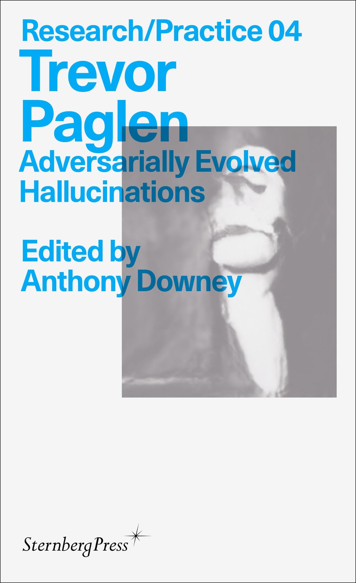 Trevor Paglen: Adversarially Evolved Hallucinations (Sternberg Press / Research/Practice)