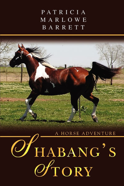Shabang's Story: A Horse Adventure