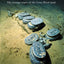 Lost at Sea: The Strange Route of the Lena Shoal Junk