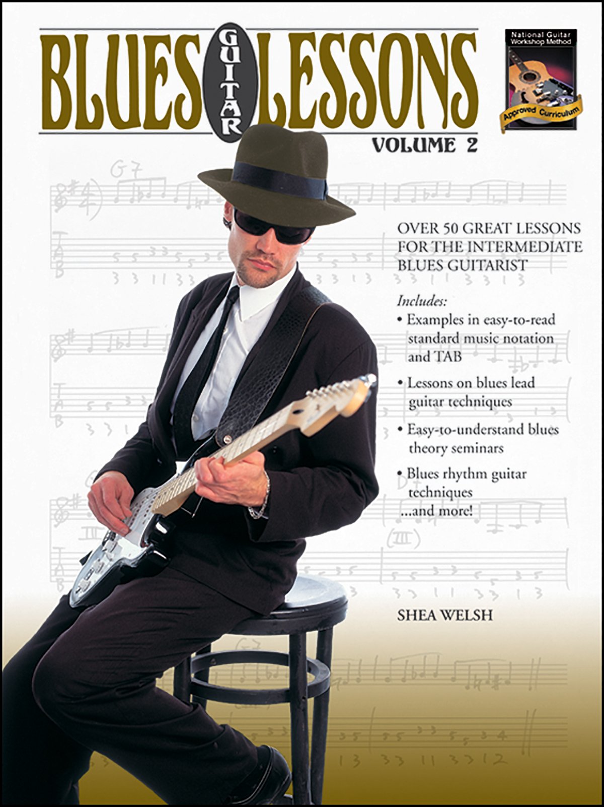 Blues Guitar Lessons, Vol 2: Over 50 Great Lessons for the Intermediate Blues Guitarist