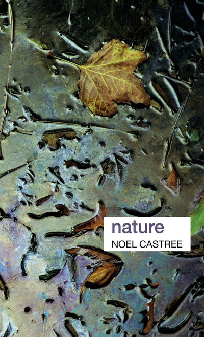 Nature (Key Ideas in Geography)