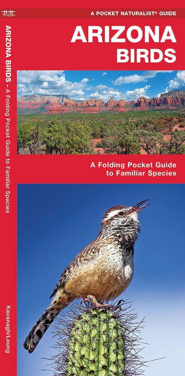 Arizona Birds (Wildlife and Nature Identification)