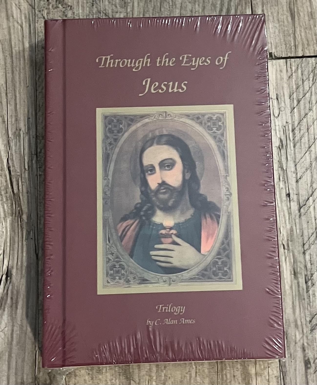 Through the Eyes of Jesus Trilogy - Hardcover