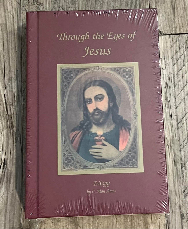 Through the Eyes of Jesus Trilogy - Hardcover