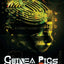 Guinea Pigs: Technologies of Control