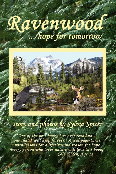 Ravenwood:  hope for tomorrow