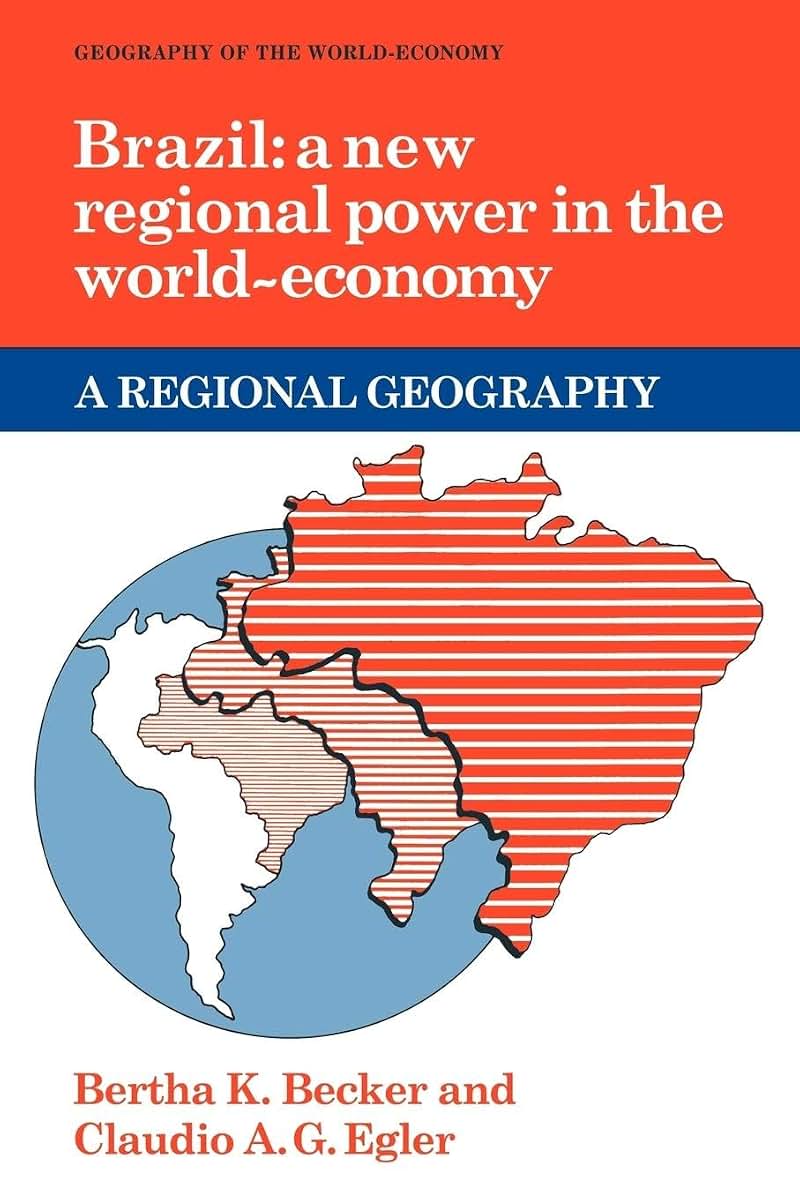 Brazil: A New Regional Power in the World Economy (Geography of the World-Economy)
