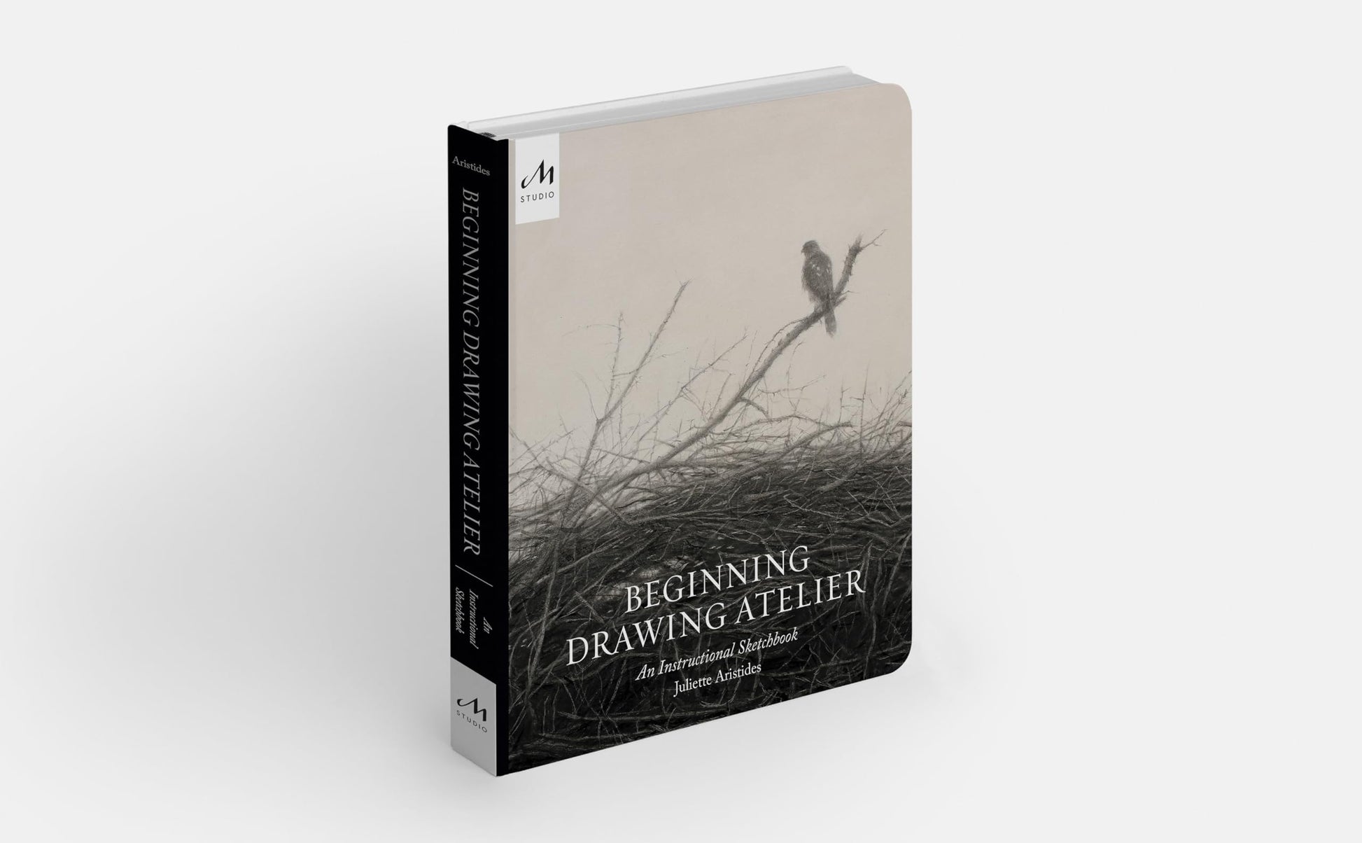 Beginning Drawing Atelier: An Instructional Sketchbook