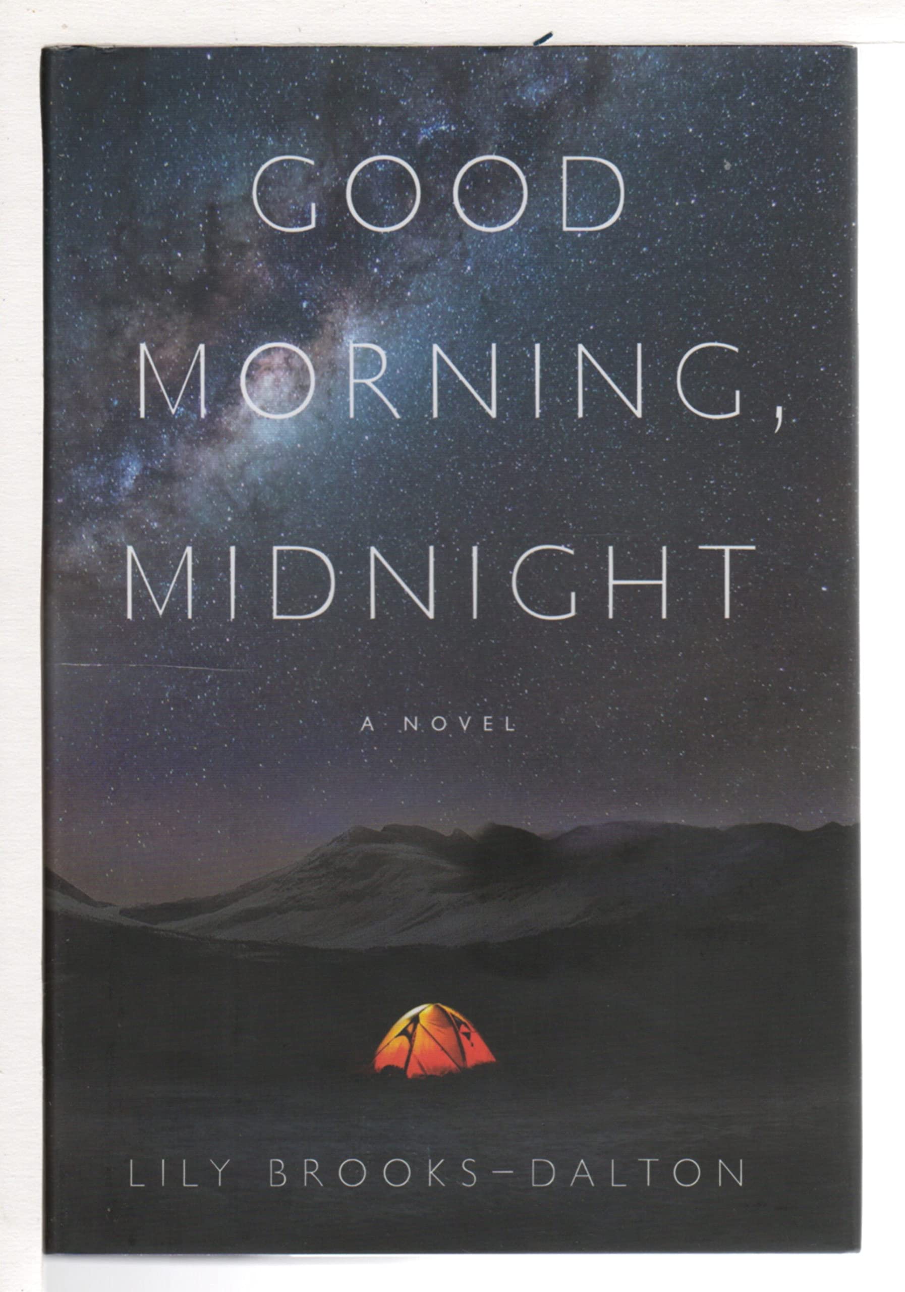 Good Morning, Midnight: A Novel