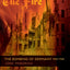 The Fire: The Bombing of Germany, 1940-1945