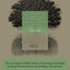 Our Hope in Christ: A Chapter Analysis Study of 1 Thessalonians (Design for Discipleship)