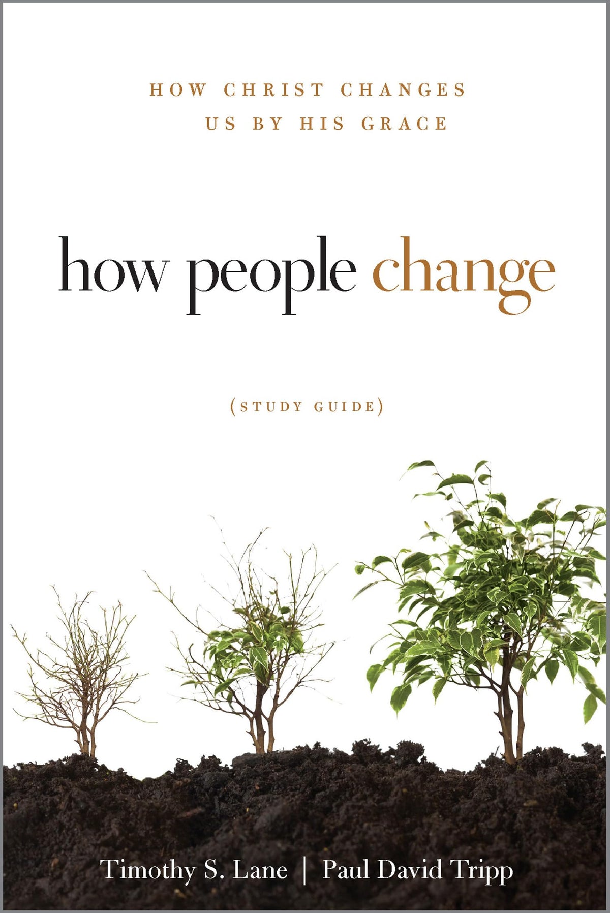 How People Change Study Guide: How Christ Changes Us by His Grace