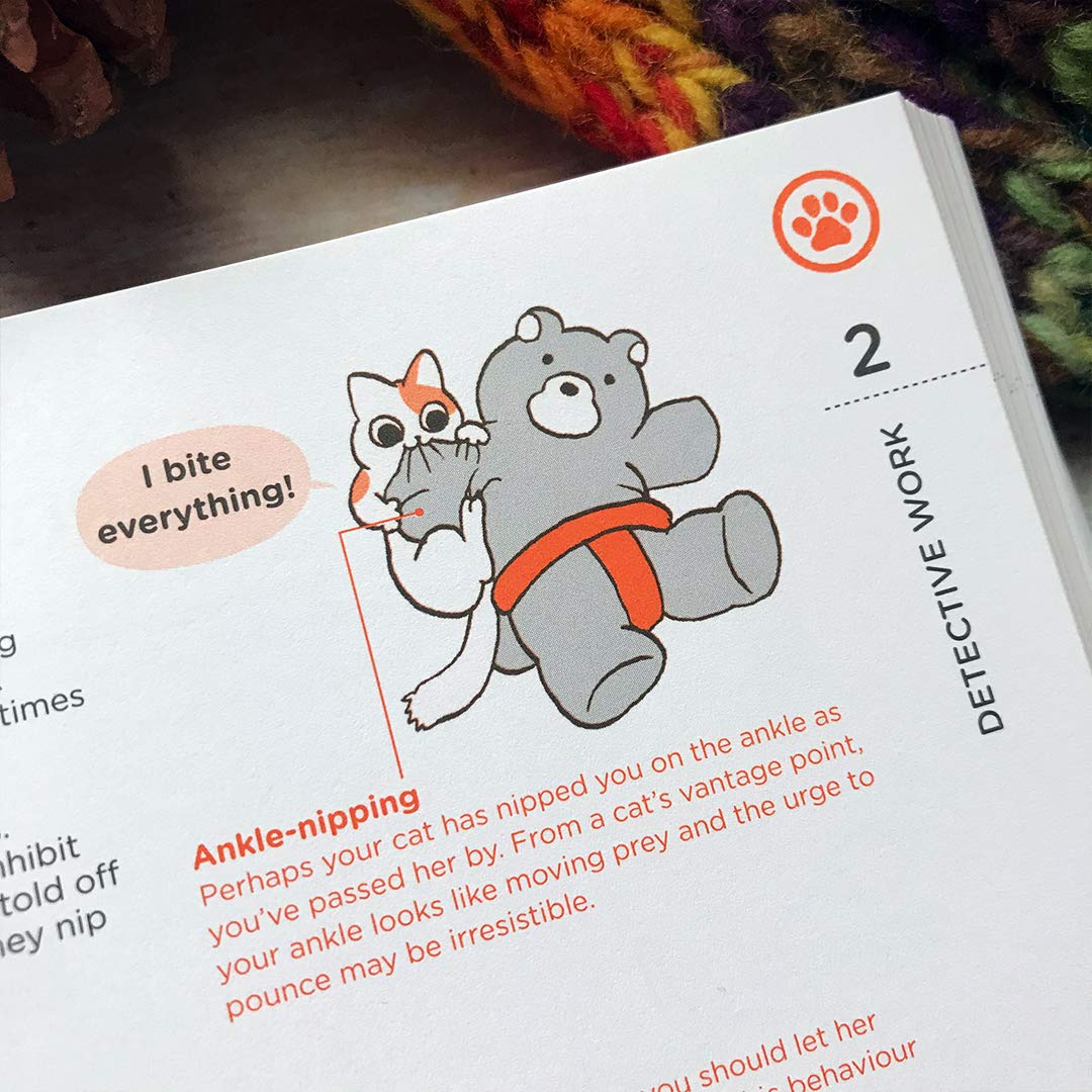 What Cats Want: An illustrated guide for truly understanding your cat
