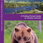 Montana Wildlife: A Folding Pocket Guide to Familiar Animals (Wildlife and Nature Identification)