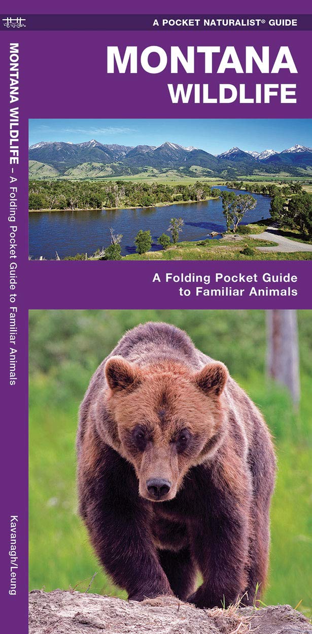 Montana Wildlife: A Folding Pocket Guide to Familiar Animals (Wildlife and Nature Identification)