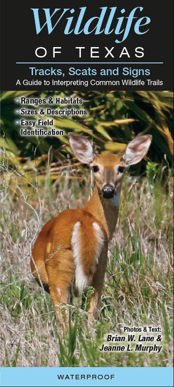 Wildlife of Texas Tracks, Scats and Signs A Guide to Interpreting Common Wildlife Trails