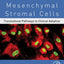 Mesenchymal Stromal Cells: Translational Pathways to Clinical Adoption