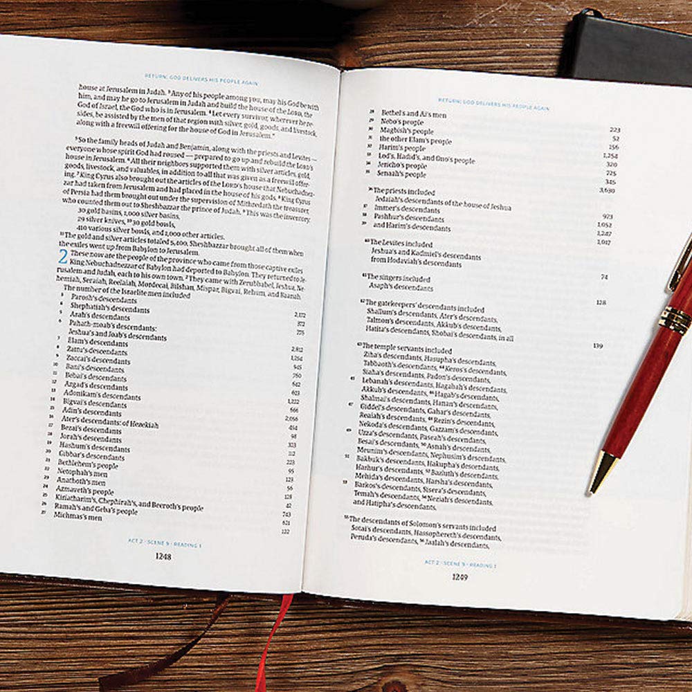 CSB Day-by-Day Chronological Bible, Brown Leathertouch, Black Letter, 365 Day, One Year, Reading Plan, Single-Column, Easy-to-Read Bible Serif Type