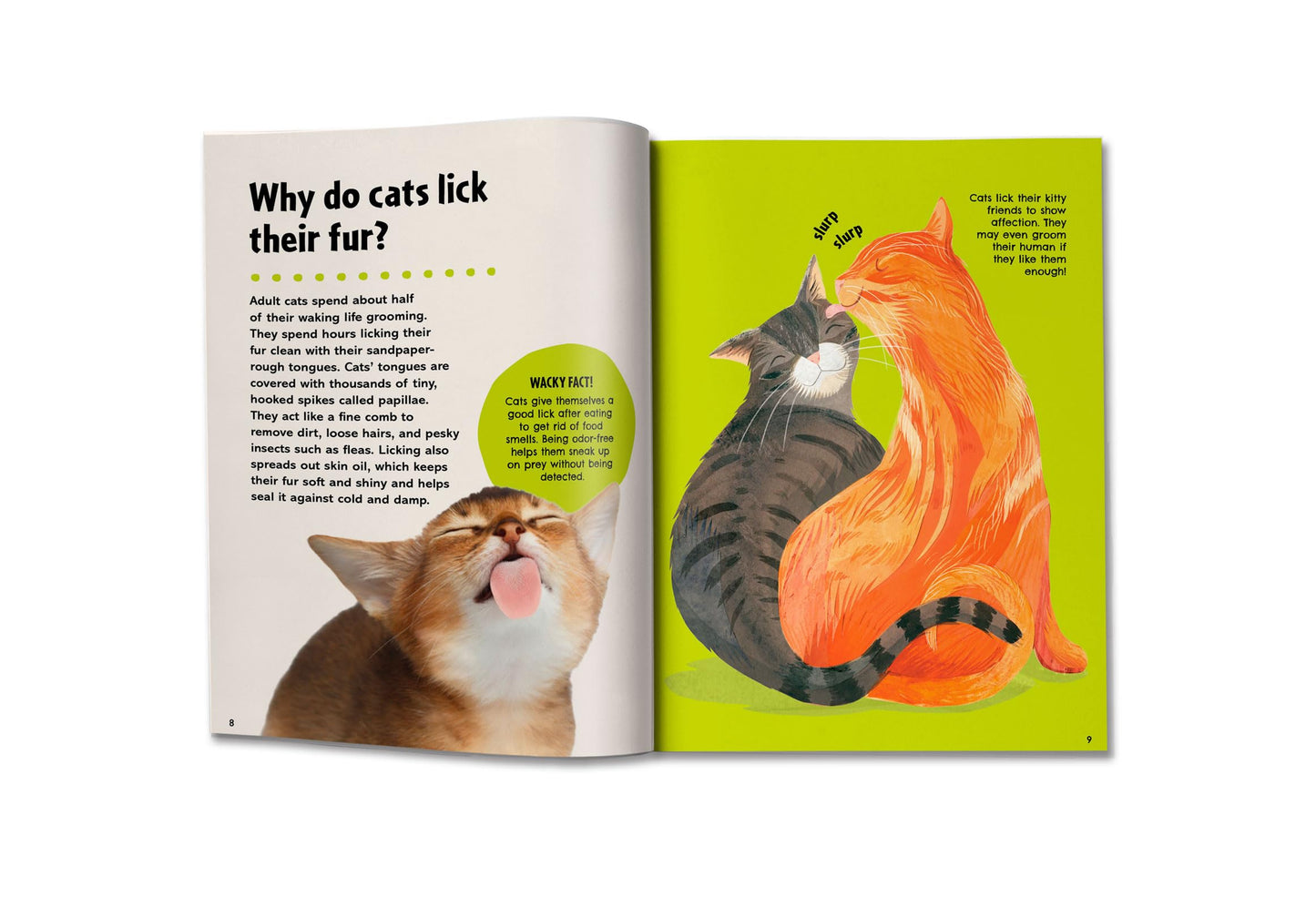 Britannica's First Big Book of Why: Why can't penguins fly? Why do we brush our teeth? Why does popcorn pop? The ultimate book of answers for kids who need to know WHY!