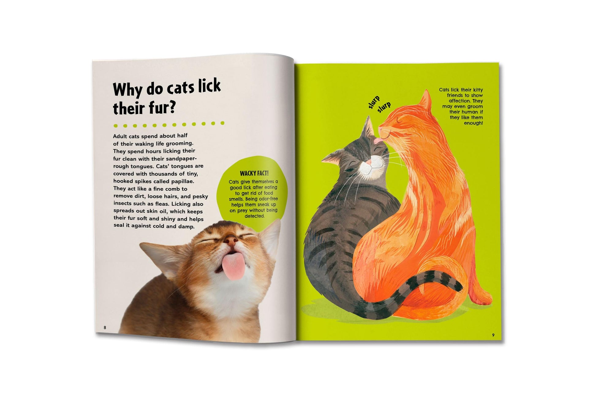 Britannica's First Big Book of Why: Why can't penguins fly? Why do we brush our teeth? Why does popcorn pop? The ultimate book of answers for kids who need to know WHY!