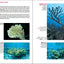 Reef Coral Identification: Florida, Caribbean, Bahamas 3rd Edition (Reef Set (New World))