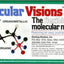 Molecular Visions (Organic, Inorganic, Organometallic) Molecular Model Kit #1 by Darling Models to accompany Organic Chemistry