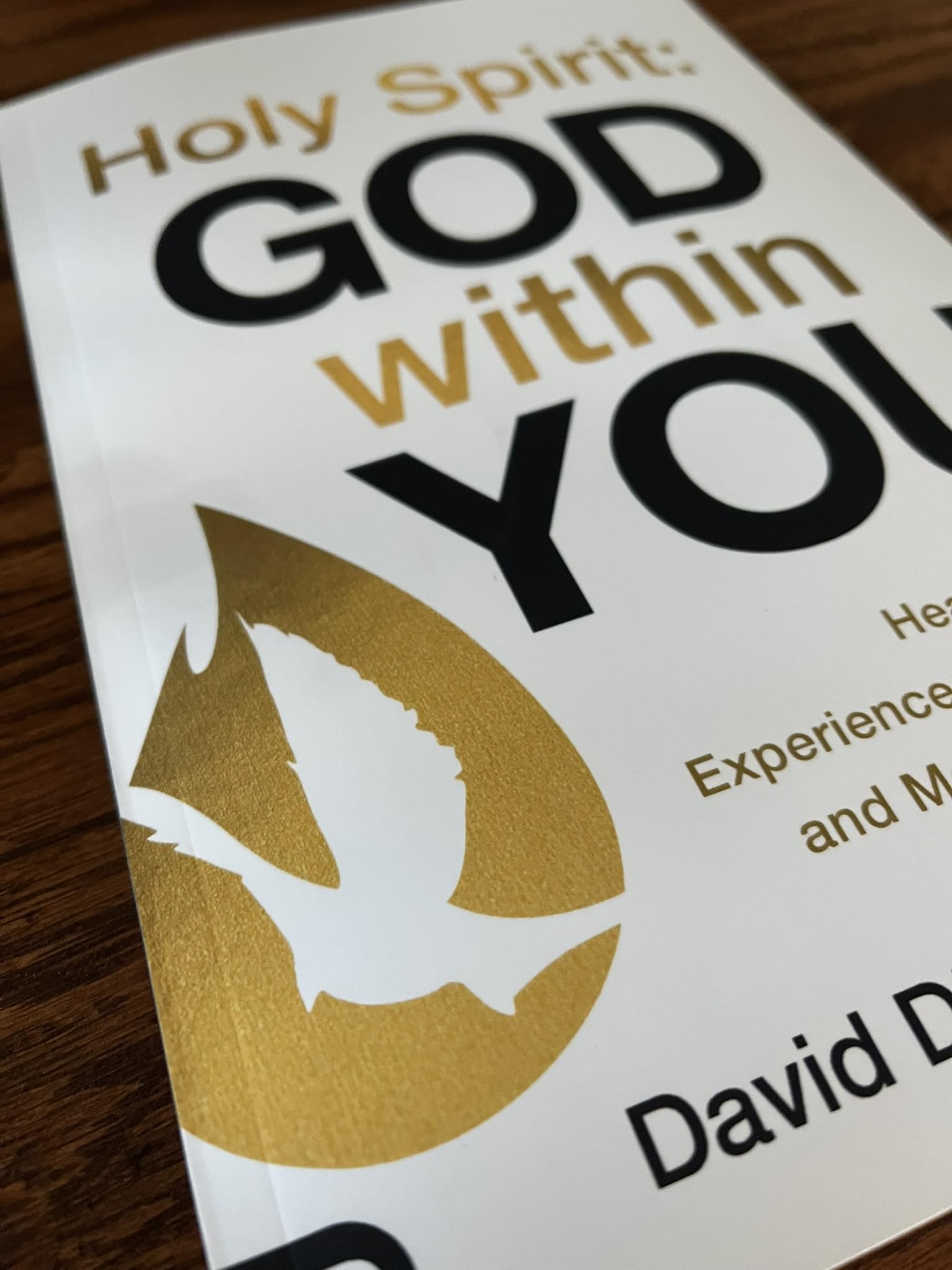 Holy Spirit: God Within You: Hear His Voice,Experience His Presence,and Move in His Power