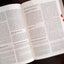 Biblia de estudio Explicada (Piel especial marrón claro) (Spanish Edition)