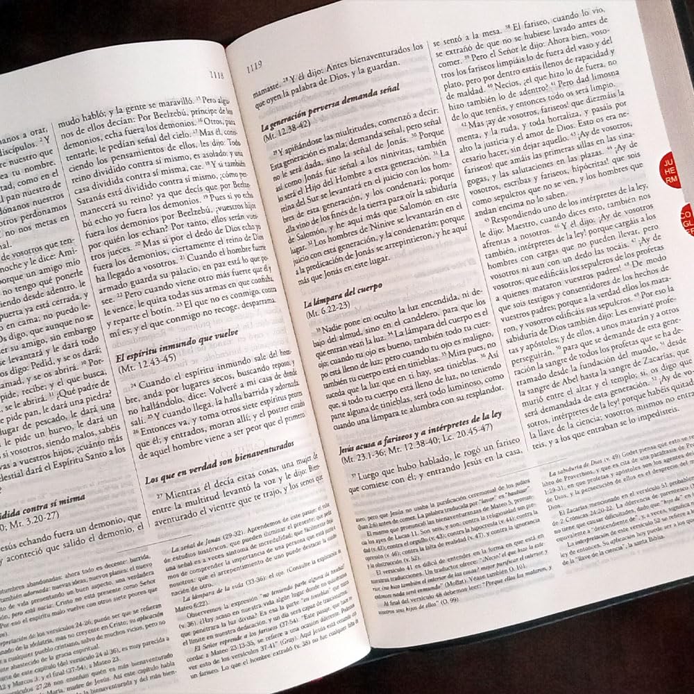 Biblia de estudio Explicada (Piel especial marrón claro) (Spanish Edition)