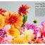 Dahlias: Inspiration, Cultivation and Care for 222 Varieties