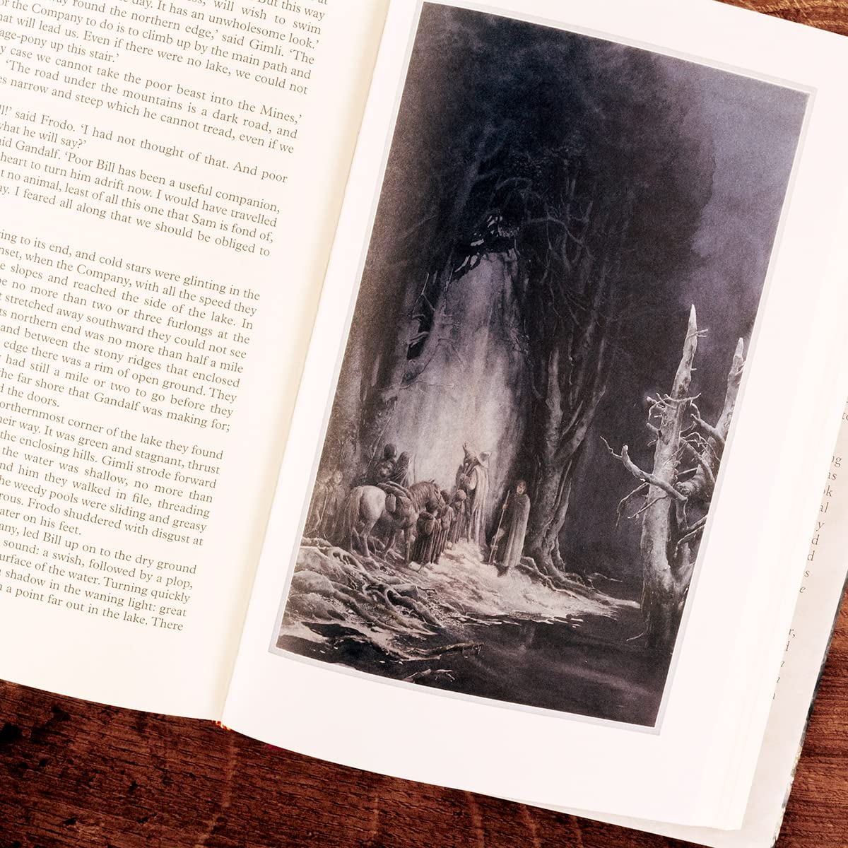 The Fellowship of the Ring (The Lord of the Rings, Part 1) (The Lord of the Rings, 1)