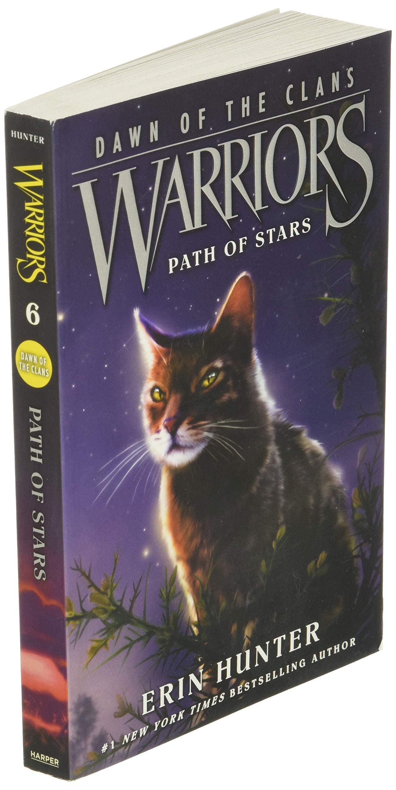 Warriors: Dawn of the Clans #6: Path of Stars