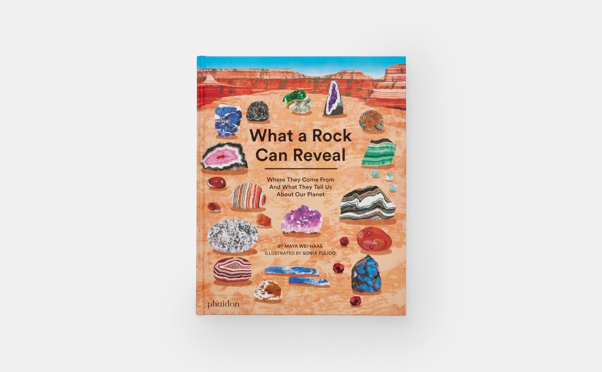 What a Rock Can Reveal: Where They Come From And What They Tell Us About Our Planet