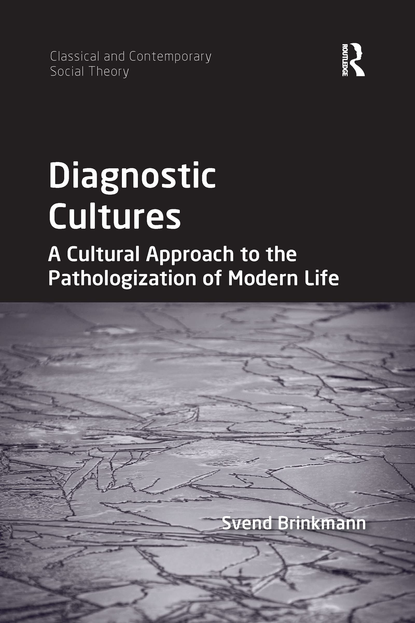 Diagnostic Cultures (Classical and Contemporary Social Theory)