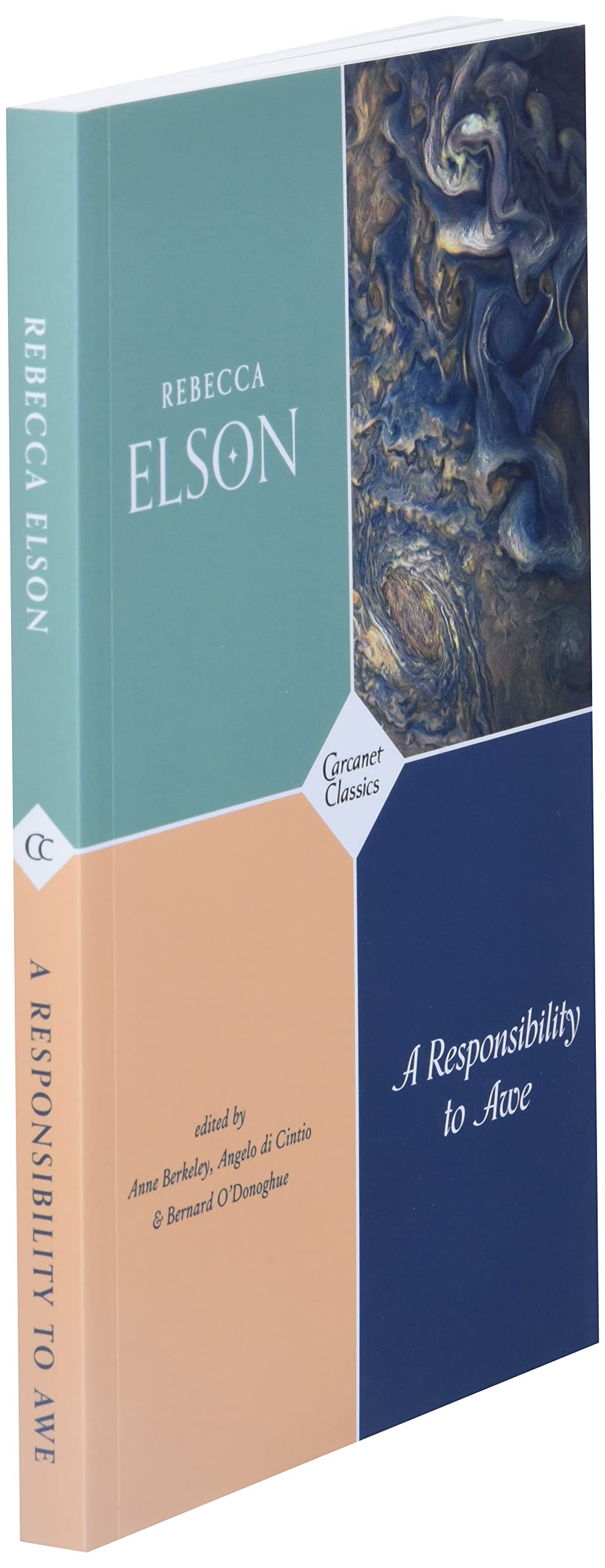A Responsibility to Awe (Carcanet Classics)